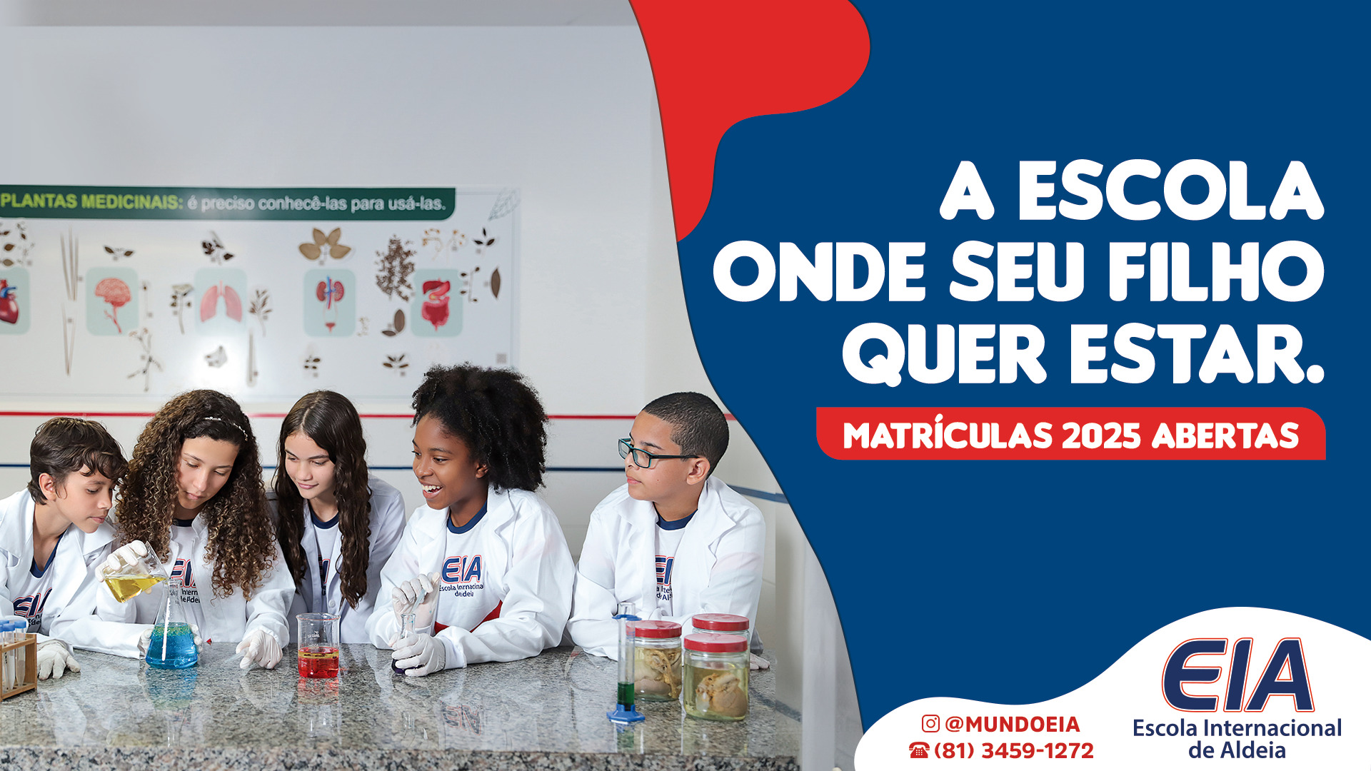 banner site fundamental2
